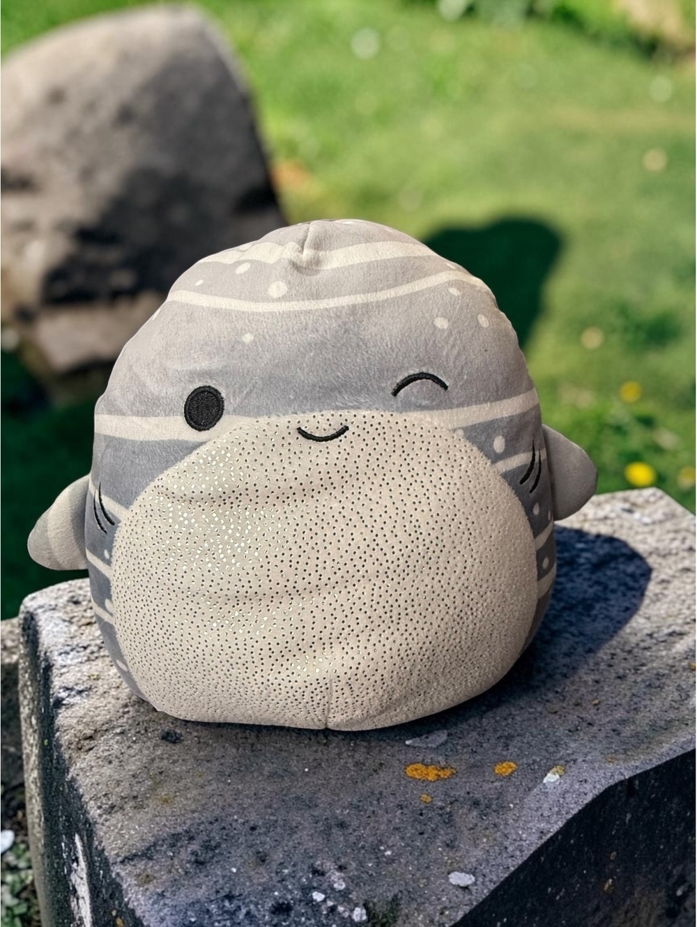 Squishmallows Sachie the Whale Shark Gray Striped Sparkle Plush Kellytoy
